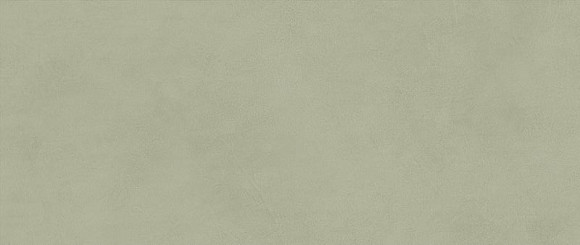 Плитка Boost Expression Olive 50x120