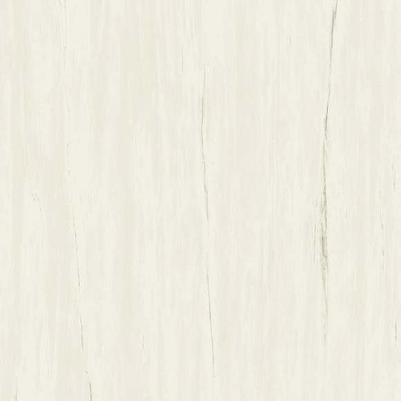 Керамогранит Marvel Bianco Dolomite 120x120 (A204) 