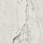 Керамогранит Marvel Statuario Select 120x240 Lappato (AY2P) 