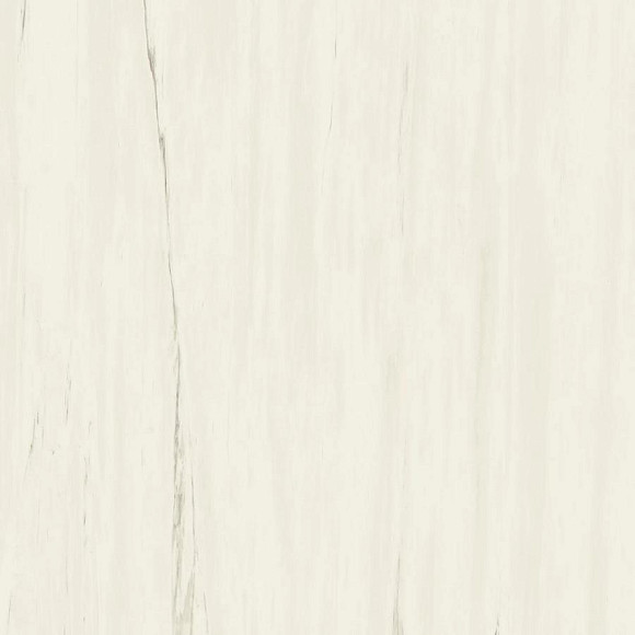 Керамогранит Marvel Bianco Dolomite 120x120 (A204) 