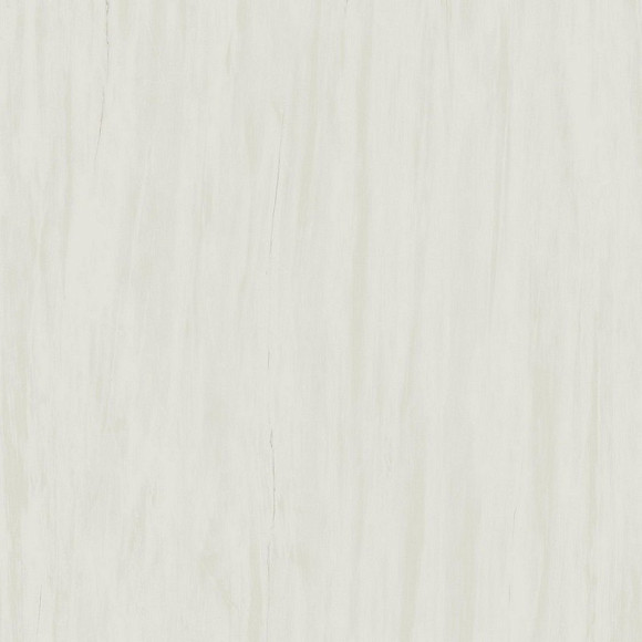 Керамогранит Marvel Bianco Dolomite 120x120 Lappato (AZTT) 