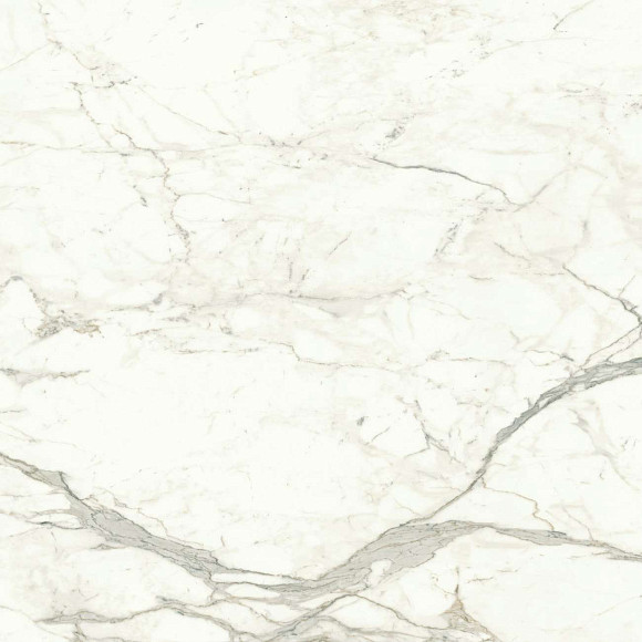 Керамогранит Marvel Calacatta Prestigio 120x120 Matt (A4Q5) 