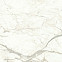 Керамогранит Marvel Calacatta Prestigio 120x120 Matt (A4Q5) 