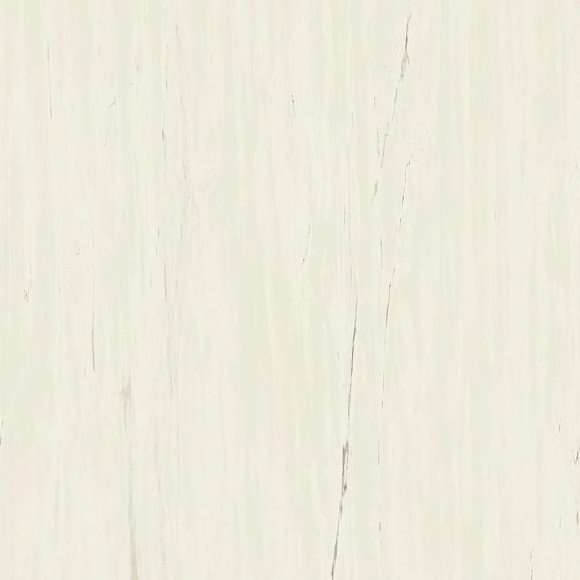 Керамогранит Marvel Bianco Dolomite 120x120 (A204) 