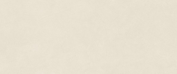 Плитка Boost Natural Pro Salt 50x120 (AQ6N)
