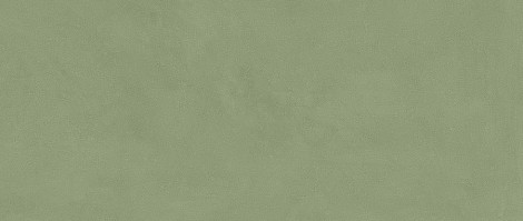 Плитка Vivia Crelis Light Green 50x120 Lucido (HHIY)