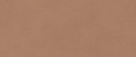 Плитка Boost Expression Sienna 50x120 