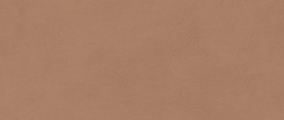 Плитка Boost Expression Sienna 50x120