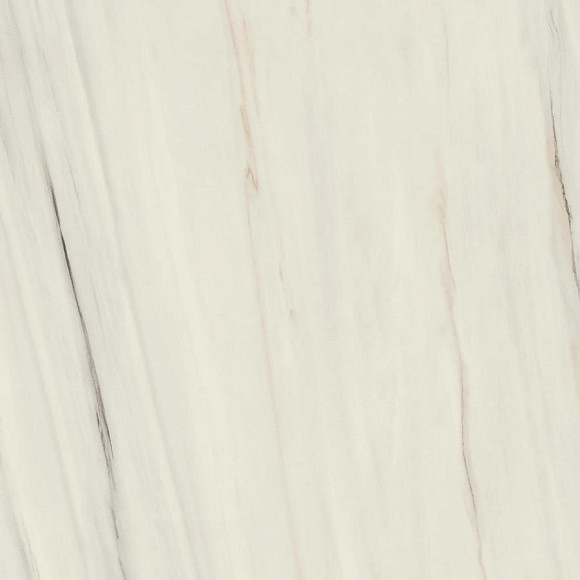 Керамогранит Marvel Bianco Fantastico 120x120 Matt (A203) 