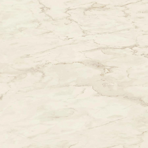 Керамогранит Marvel Cremo Delicato 120x120 Matt (A206) 