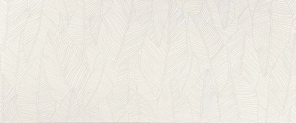 Плитка Aplomb White Leaf 50x120 (A6FC)  