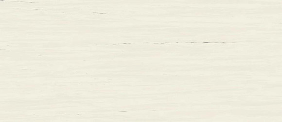 Керамогранит Marvel Bianco Dolomite 120x278 Matt  (A2RS) 