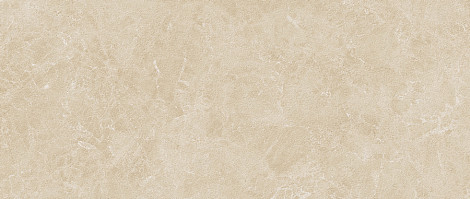 Плитка Marvel Next Breccia Cream Field 50x120 (HGRC)