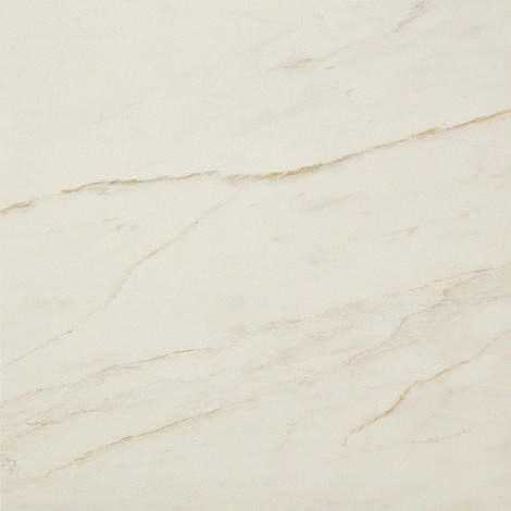 Керамогранит Marvel Cremo Delicato 60x60 (AVGD) 