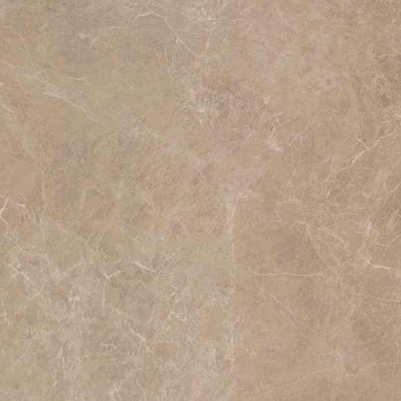 Керамогранит Marvel Elegant Sable 60x60 (AEOB) 