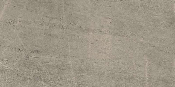 W. Silver Grey Rett 60x120 (610010001407) Керамогранит