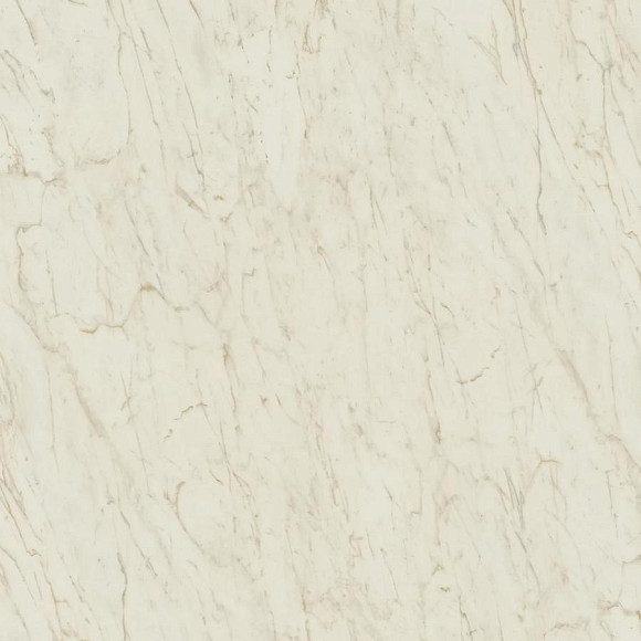 Керамогранит Marvel Cremo Delicato 120x120 Lappato (AY2U) 