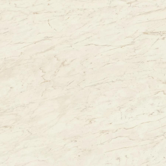 Керамогранит Marvel Cremo Delicato 120x120 Matt (A206) 