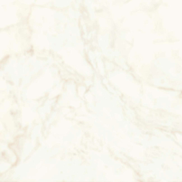 Керамогранит Marvel Calacatta Delicato 60x60 R10B Soft Touch (A4QO) 