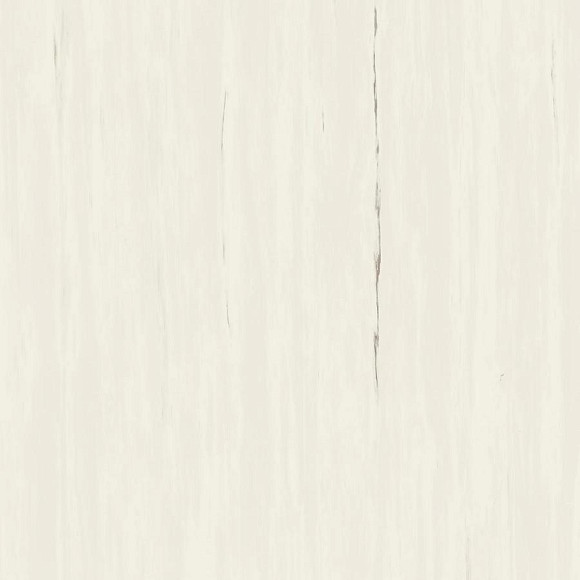 Керамогранит Marvel Bianco Dolomite 120x120 (A204) 