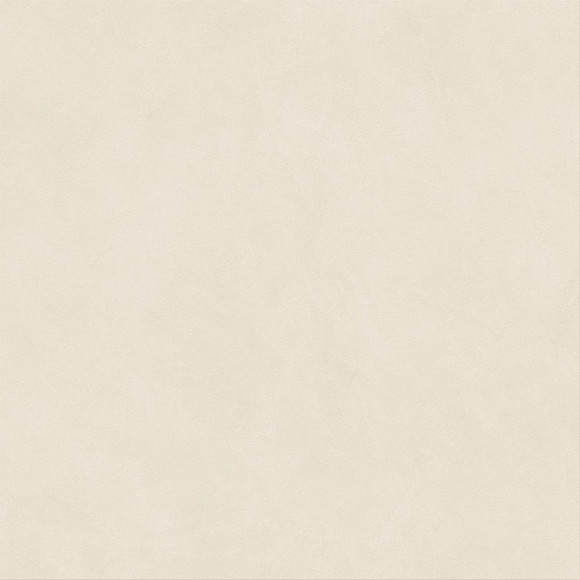 Керамогранит Boost Natural Pro Salt 120x120 Velvet (AQ8K)