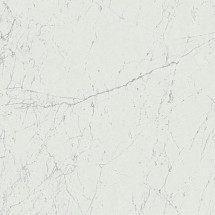 Керамогранит Marvel Carrara Pure 120x120 (A207) 