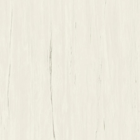 Керамогранит Marvel Bianco Dolomite 120x120 (A204) 