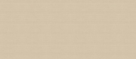 Керамогранит Vest Ecru 120x278 - 6mm  
