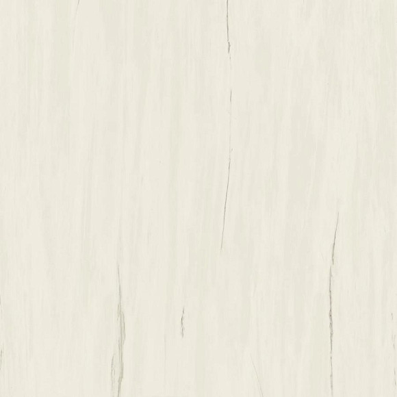 Керамогранит Marvel Bianco Dolomite 120x120 Lappato (AZTT) 