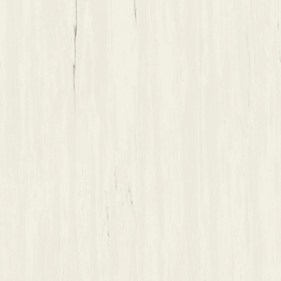 Керамогранит Marvel Bianco Dolomite 120x120 (A204) 