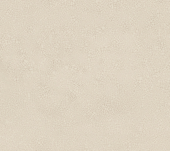 Плитка Vivia Crelis Shell 50x120 Lucido (HHIX)