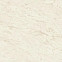 Керамогранит Marvel Cremo Delicato 120x120 Matt (A206) 