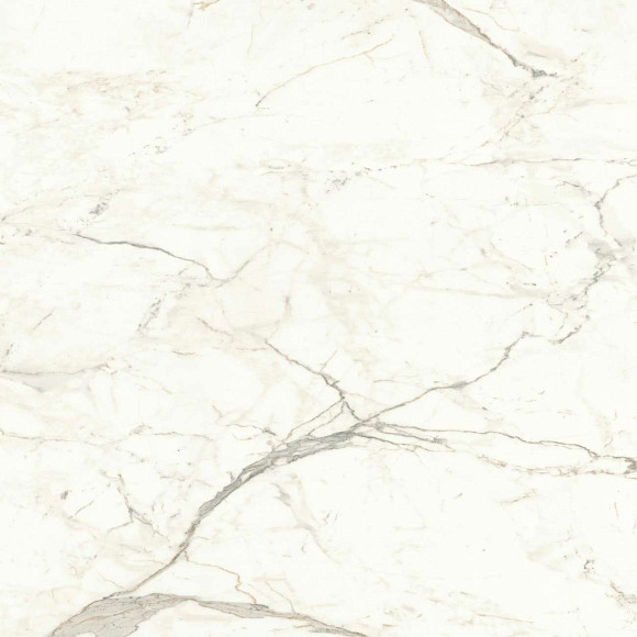 Керамогранит Marvel Calacatta Prestigio 120x120 Lappato (A4Q9) 