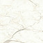 Керамогранит Marvel Calacatta Prestigio 120x120 Lappato (A4Q9) 