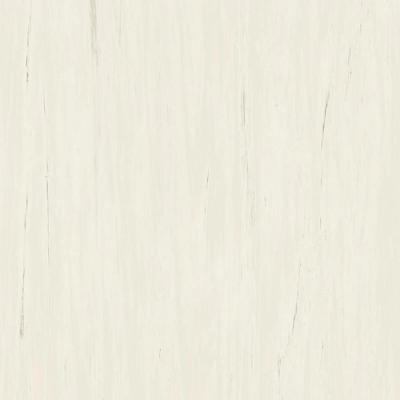 Керамогранит Marvel Bianco Dolomite 120x120 (A204) 