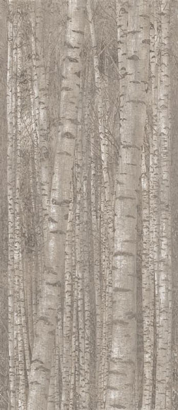 Декор Boost Pro Grove 120x278 (A0LW) 