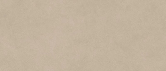 Плитка Boost Natural Ash 50X120 (A64Q)  