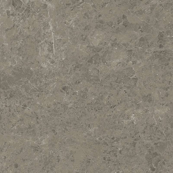 Керамогранит Marvel Meraviglia Grigio Elegante 120x120 Velvet (AJIL) 