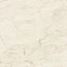 Керамогранит Marvel Cremo Delicato 120x120 Matt (A206) 