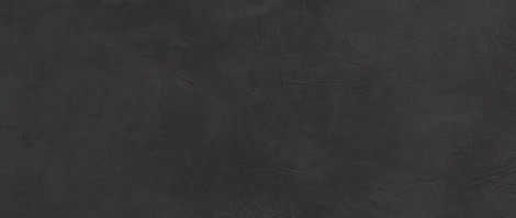 Плитка Prism Graphite 50x120 (A4TJ) 