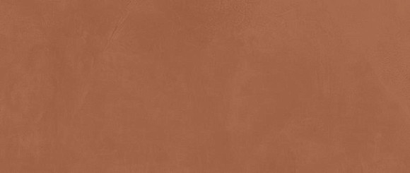 Плитка Prism Caramel 50x120 (A4TL) 