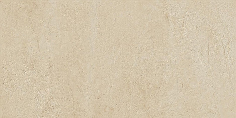 S.S. Ivory Wax 30X60 (610015000312) Керамогранит