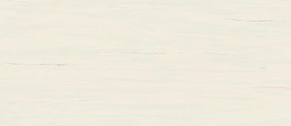 Керамогранит Marvel Bianco Dolomite 120x278 Matt  (A2RS) 