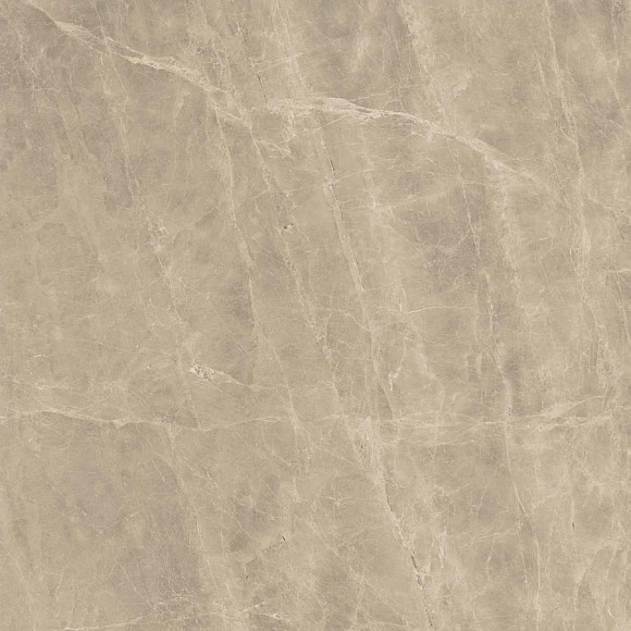 Керамогранит Marvel Elegant Sable 120x120 Lappato (AENK) 