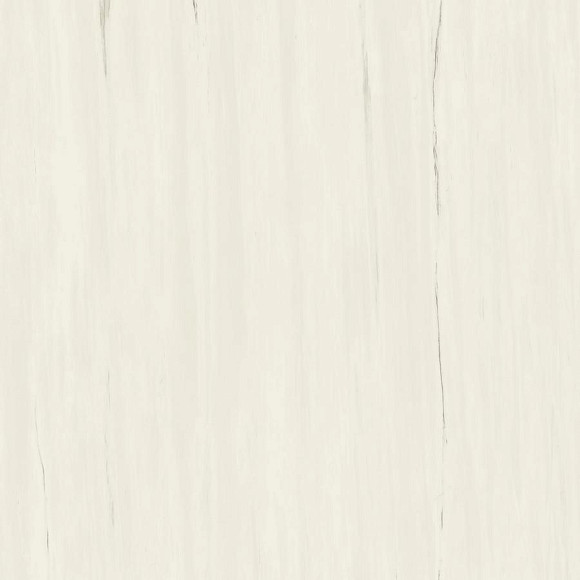 Керамогранит Marvel Bianco Dolomite 120x120 (A204) 