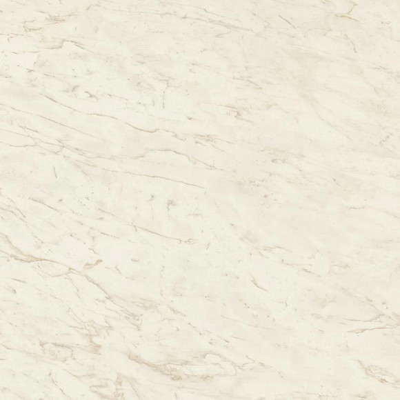 Керамогранит Marvel Cremo Delicato 120x120 Matt (A206) 