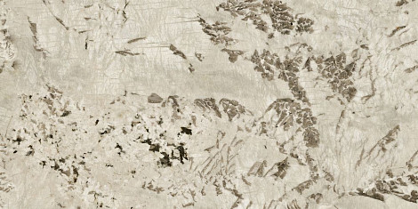 Керамогранит Marvel Epic Alpinus 60x120  