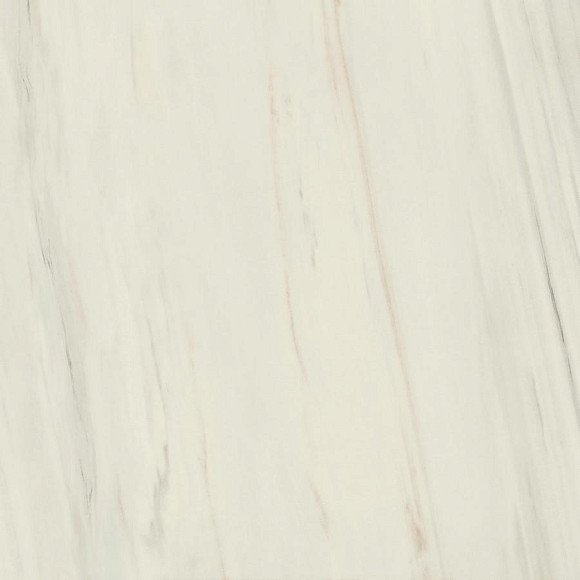 Керамогранит Marvel Bianco Fantastico 120x120 Matt (A203) 