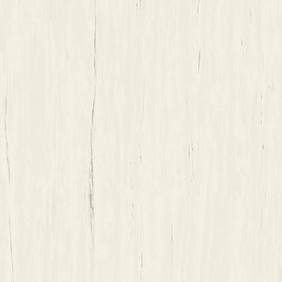 Керамогранит Marvel Bianco Dolomite 120x120 (A204) 