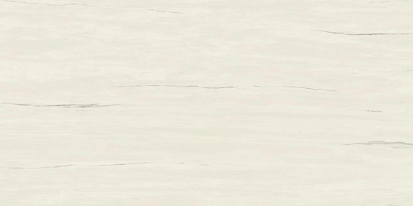 Керамогранит Marvel Bianco Dolomite 120x240 Lappato (AZTV) 